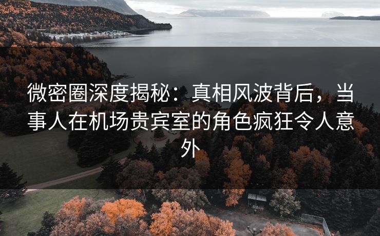 微密圈深度揭秘：真相风波背后，当事人在机场贵宾室的角色疯狂令人意外