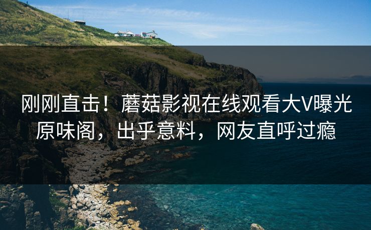 刚刚直击！蘑菇影视在线观看大V曝光原味阁，出乎意料，网友直呼过瘾