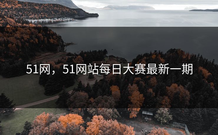 51网，51网站每日大赛最新一期