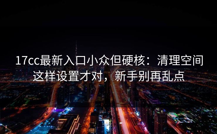 17cc最新入口小众但硬核：清理空间这样设置才对，新手别再乱点
